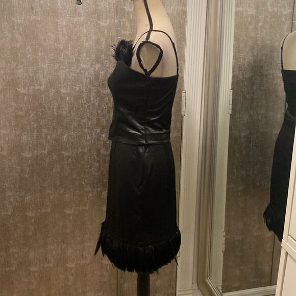 Cache feather trimmed skirt set( 2pc), size 6 - Picture 5 of 9